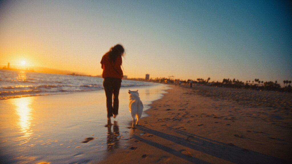 Leashes of Love, Your Perfect Match